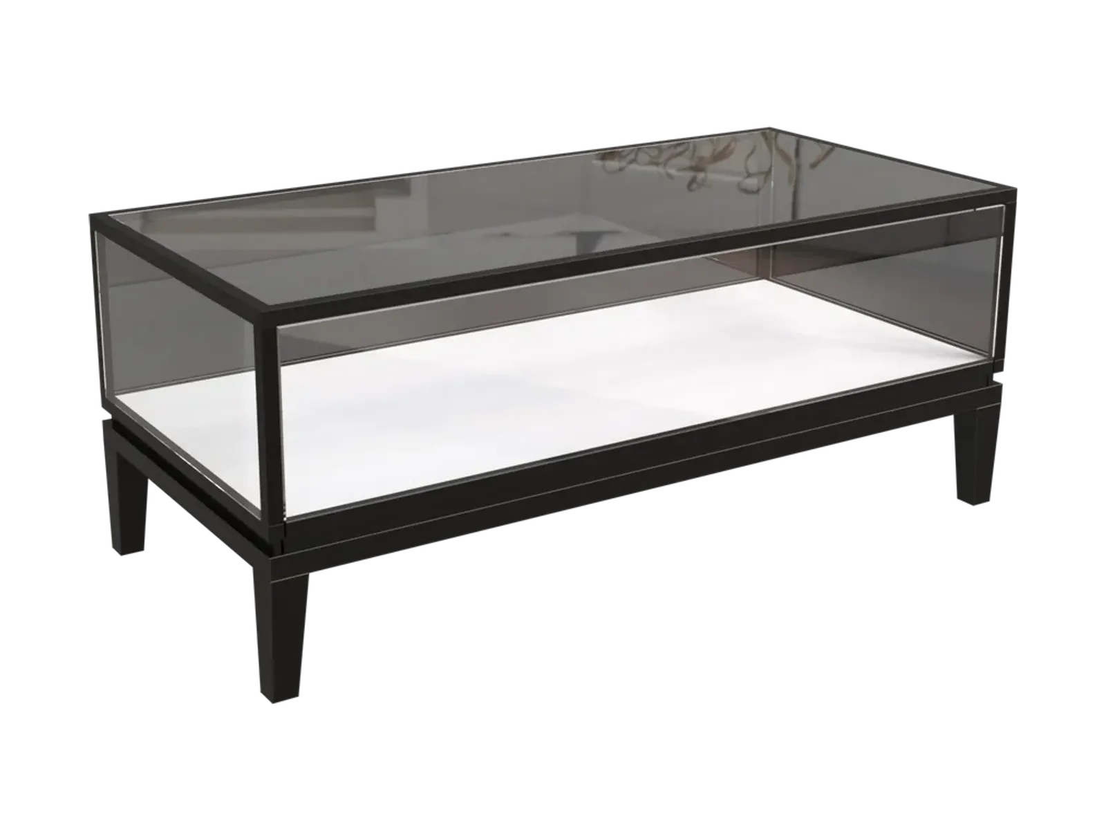 view 1 of standard low jewelry counter