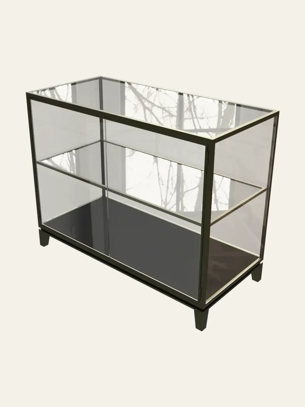 Figure Display Cabinet view 4
